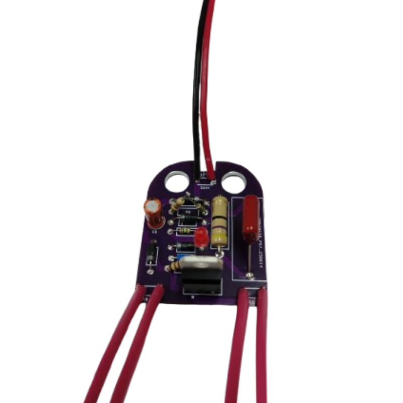 Placa Repuesto Electrificador Rural 220V 5km