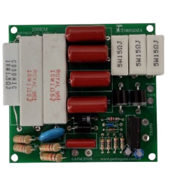 Placa Repuesto Electrificador 220V 200KM